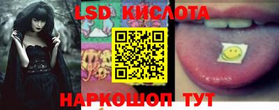 spice Кандалакша