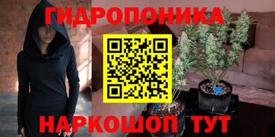 spice Кандалакша