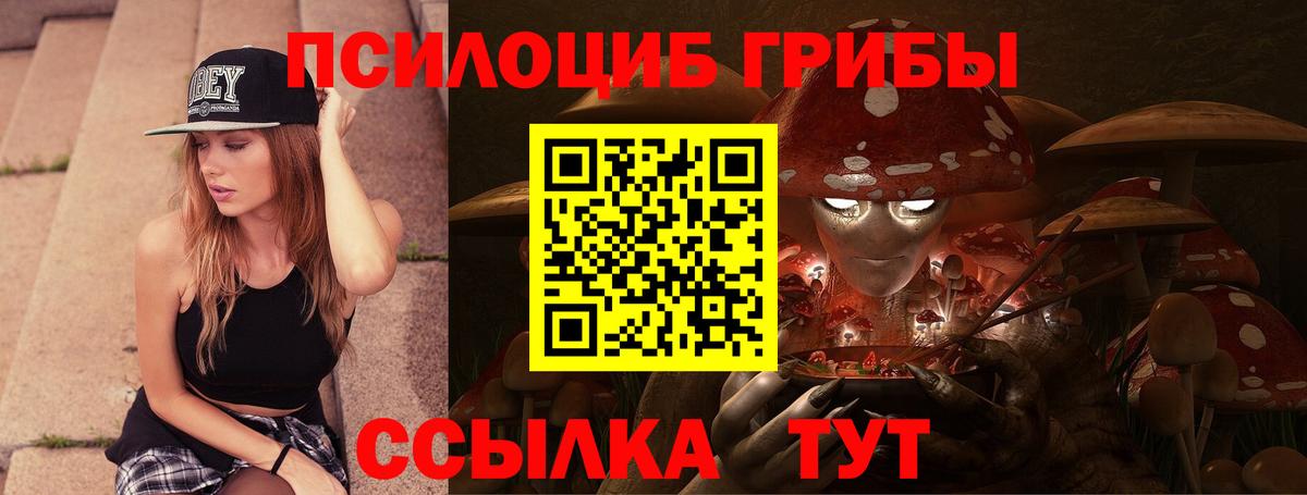 Псилоцибиновые грибы Psilocybe  купить   Кумертау  Вход с VPN 